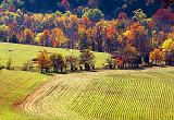 Autumn Field_24741-2